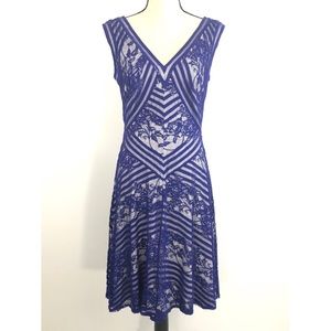 Tadashi Shoji Lace Dress Size 8 Blue White Floral Striped A-Line Elegant Formal